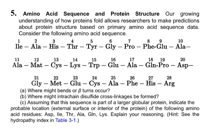 Solved 5. Amino Acid Sequence and Protein Structure Our | Chegg.com