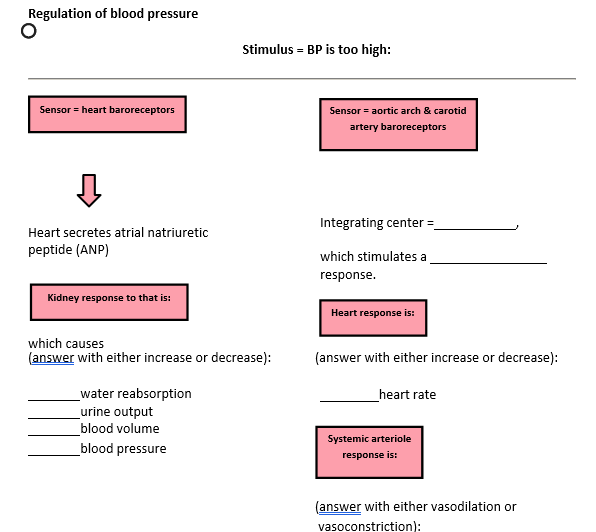 Solved Regulation of blood pressure Stimulus = BP is too