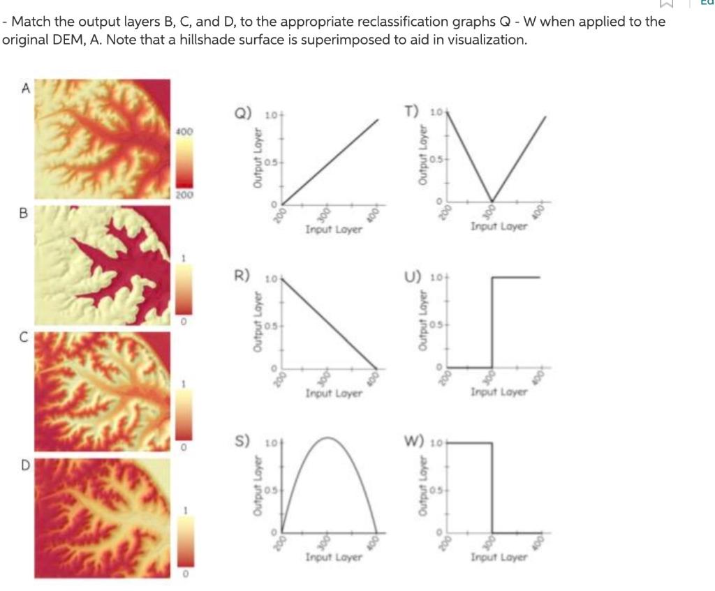 Solved - Match the output layers B, C, and D, to the | Chegg.com