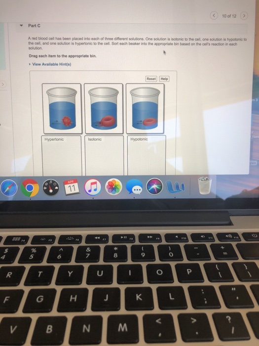 Solved 10 of 12 Part C A red blood cell has been placed into | Chegg.com