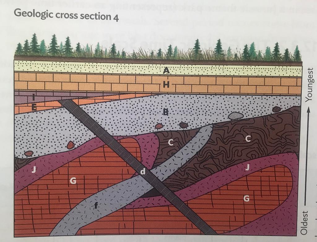 Solved (c) In geologic cross section 4 of Exercise 12.5, | Chegg.com