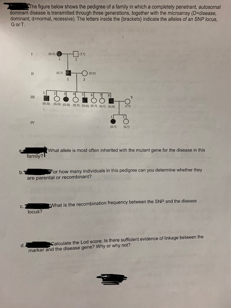 e figure below shows the pedigree of a family in | Chegg.com