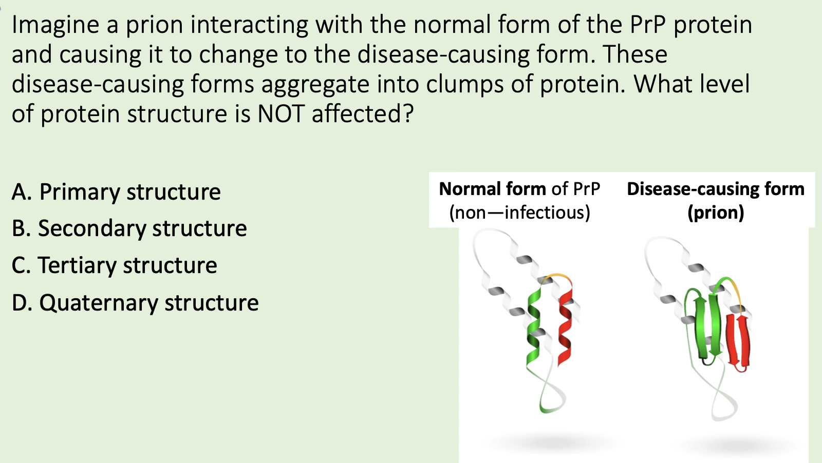 Solved Imagine a prion interacting with the normal form of | Chegg.com
