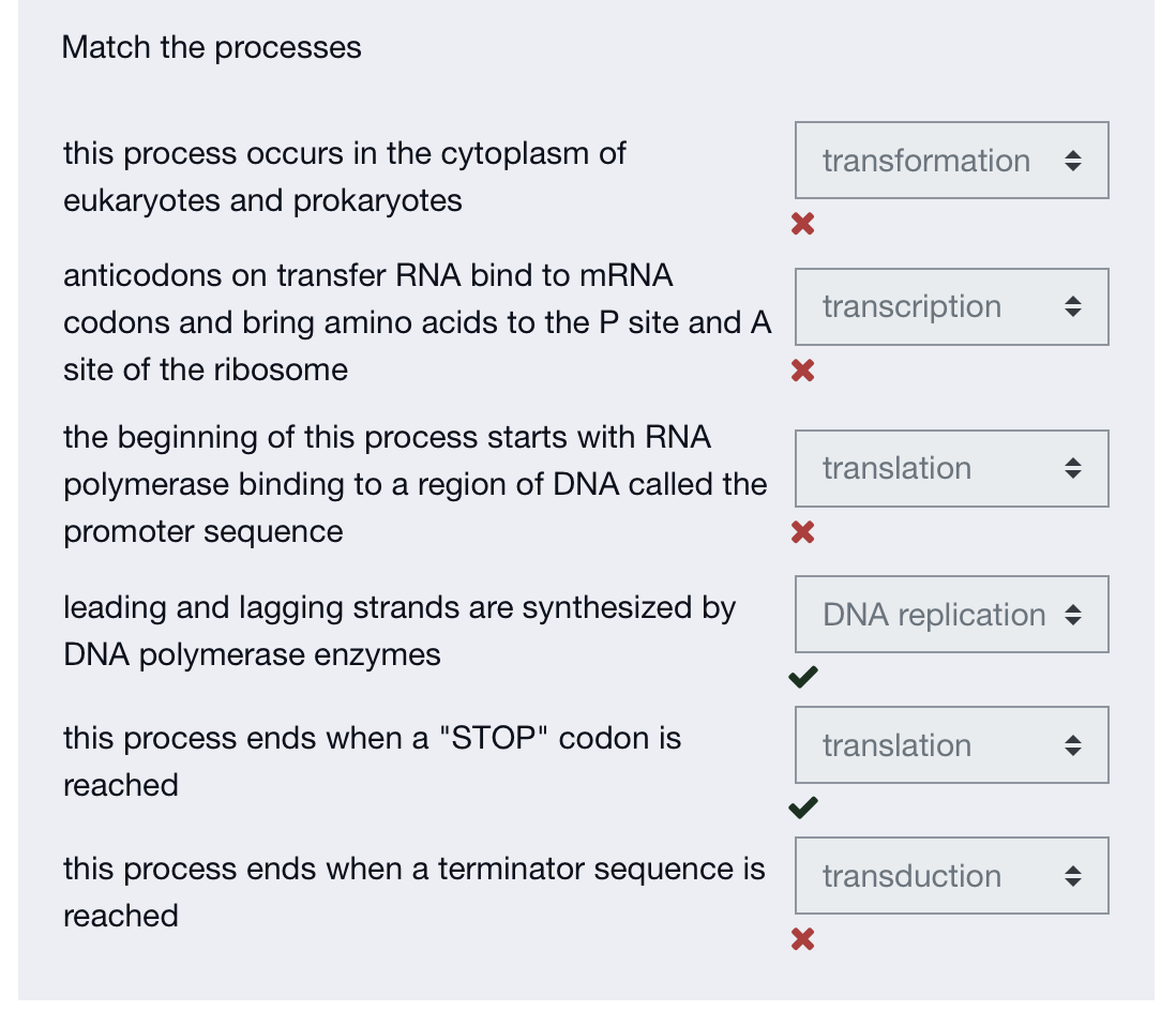Solved What is the sequence of RNA that results from | Chegg.com