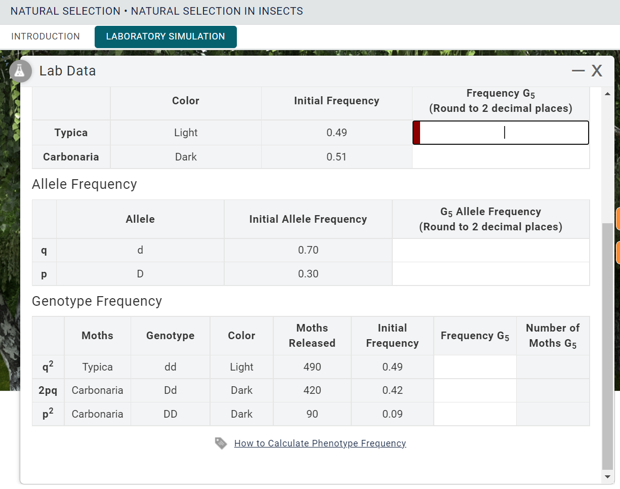 Solved NATURAL SELECTION · NATURAL SELECTION IN INSECTS