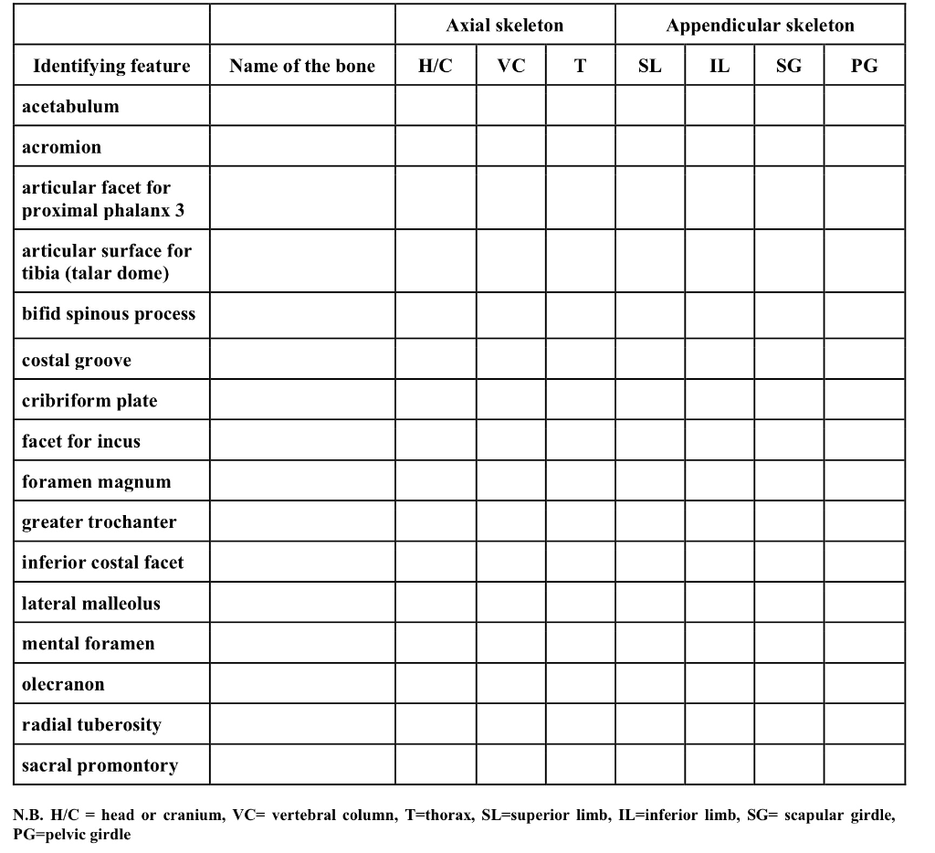 Solved Axial skeleton Appendicular skeleton Identifying | Chegg.com