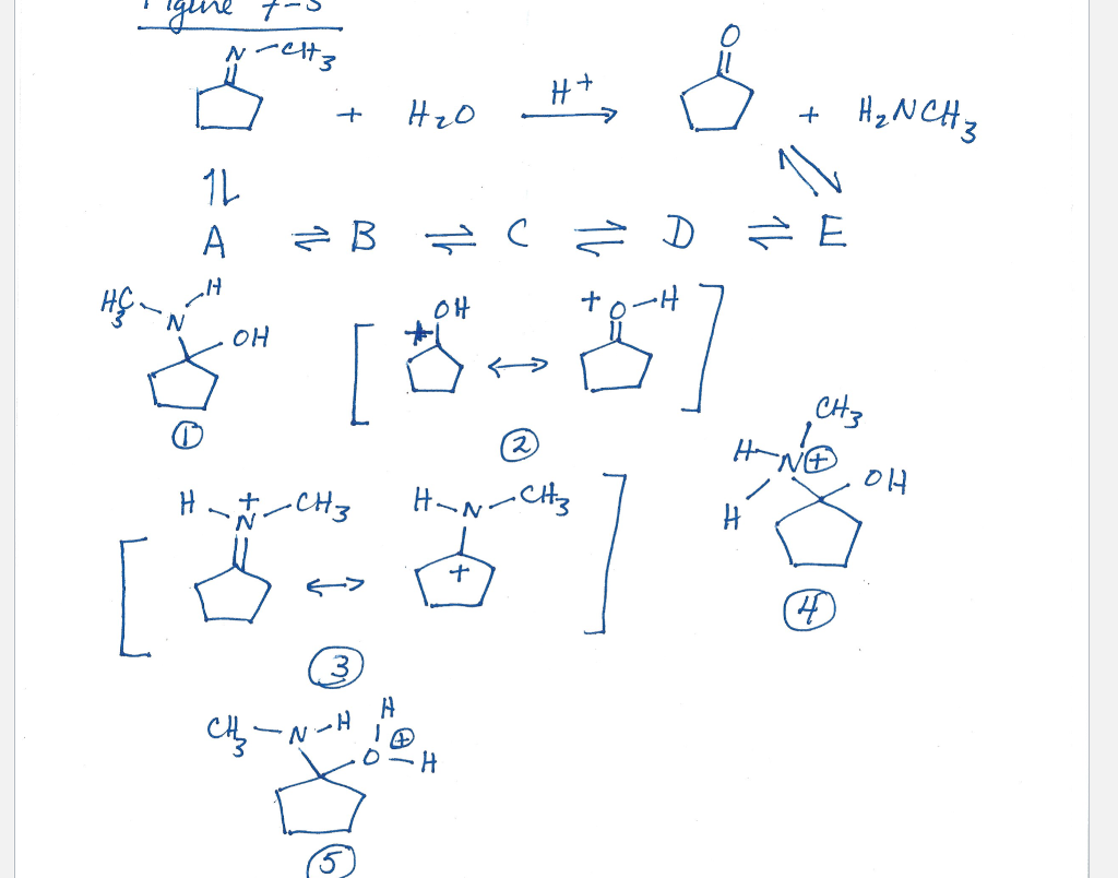 Solved Figure 7-5 shows a schematic of the mechanism of acid | Chegg.com