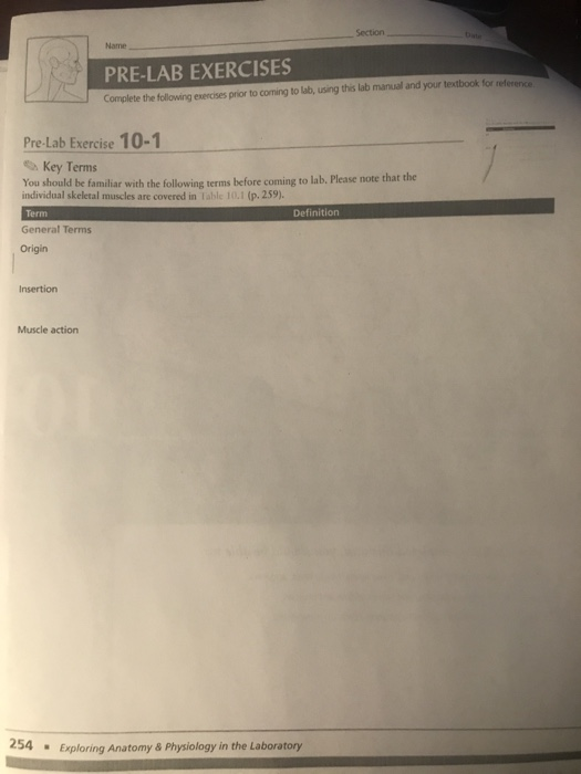 Solved Section Date Pre Lab Exercise 10-2 Skeletal Muscle | Chegg.com