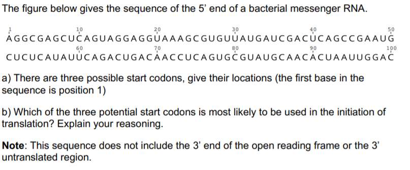 Solved The figure below gives the sequence of the 5' end of | Chegg.com