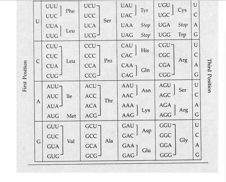 Solved a) Using the codon table on the last page translate | Chegg.com