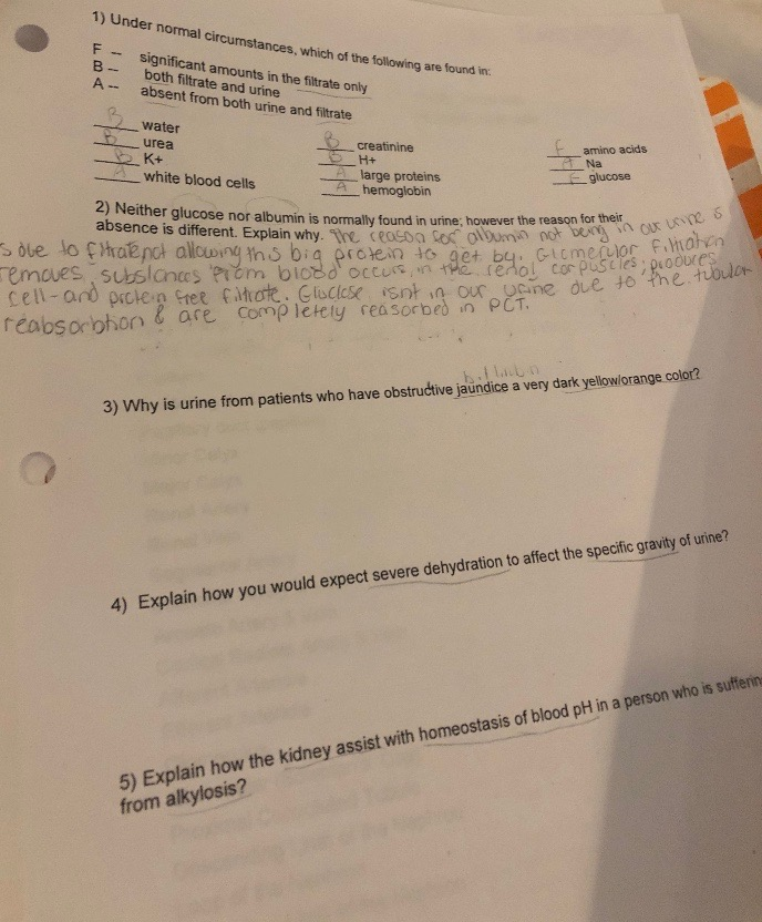 Solved I need help on numbers 3, 4, & 5. I have an idea of | Chegg.com