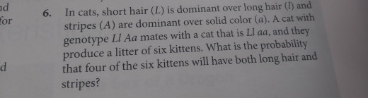 Solved nd In cats, short hair (L) is dominant over long | Chegg.com