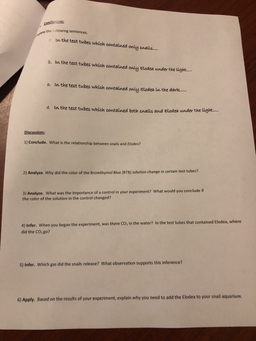 😊 Cell respiration lab answers. Photosynthesis and Cellular Respiration