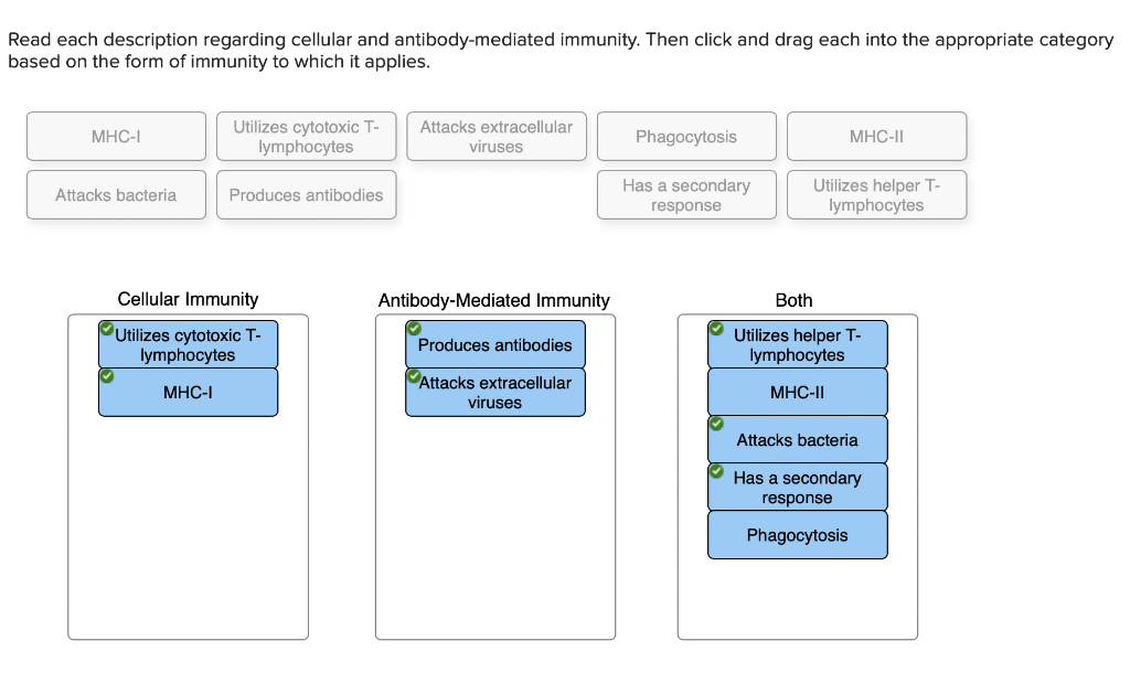 solved-art-labeling-activity-an-overview-of-adaptive-chegg