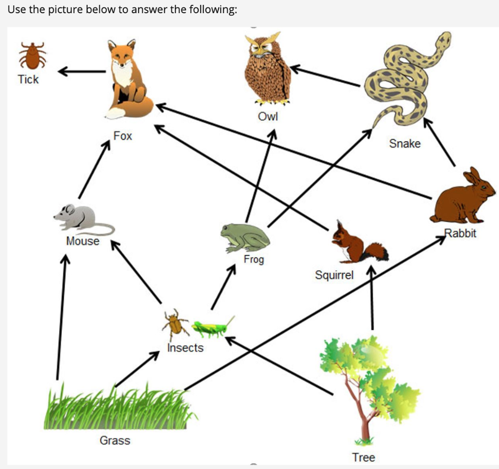 Solved 1. The tick is a parasite on the fox which causes the | Chegg.com