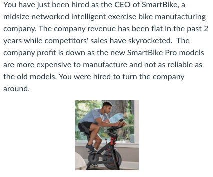 Smart bike online company