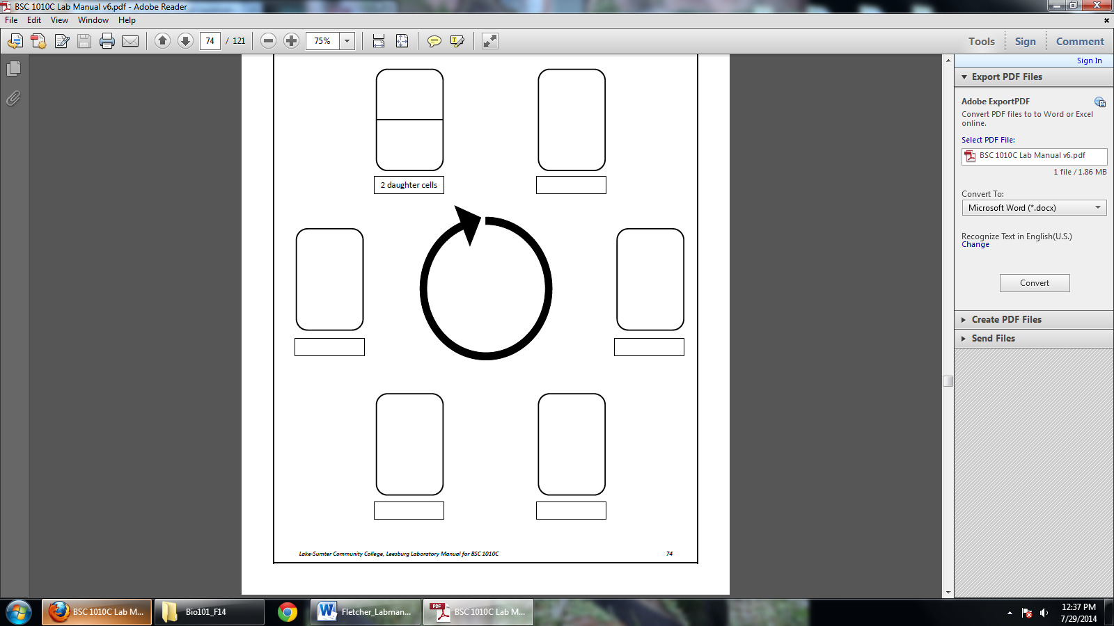 Solved In the following diagrams, find a cell from the | Chegg.com