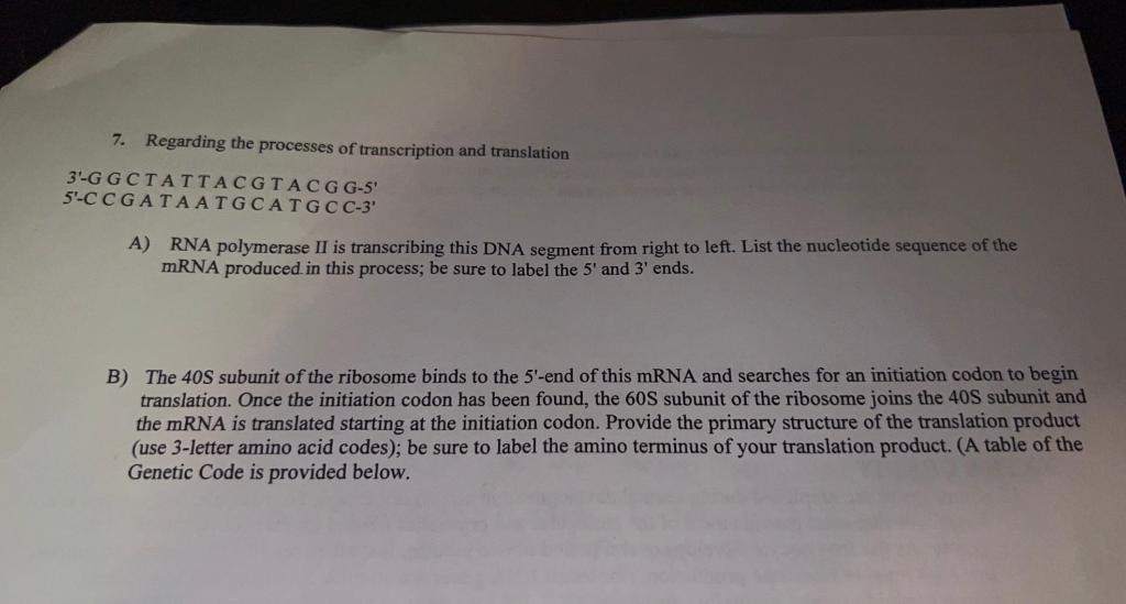 Solved 6. Two nucleic acid strands are shown below. Which | Chegg.com