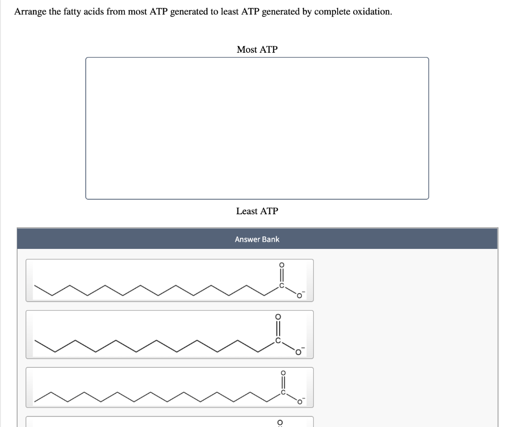 aerobic beta oxidation of fatty acids for creating energy atp requires