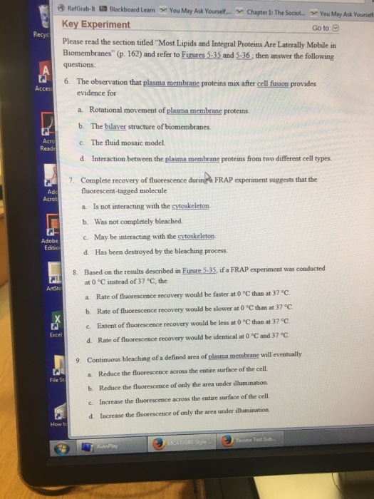 Cell Defense The Plasma Membrane Worksheet Answers - worksheet