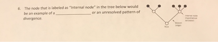 Solved The node that is labeled as 