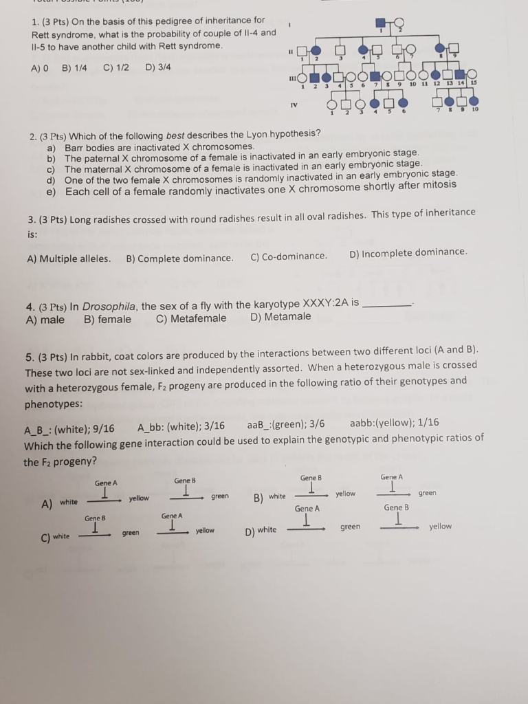 Solved 1-c 2-e 3-b 4-b 5-c Please Tell Correct Answers, I | Chegg.com