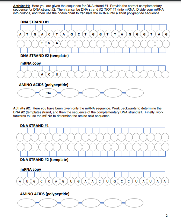 Solved Activity 1: Here You Are Given The Sequence For DNA | Chegg.com