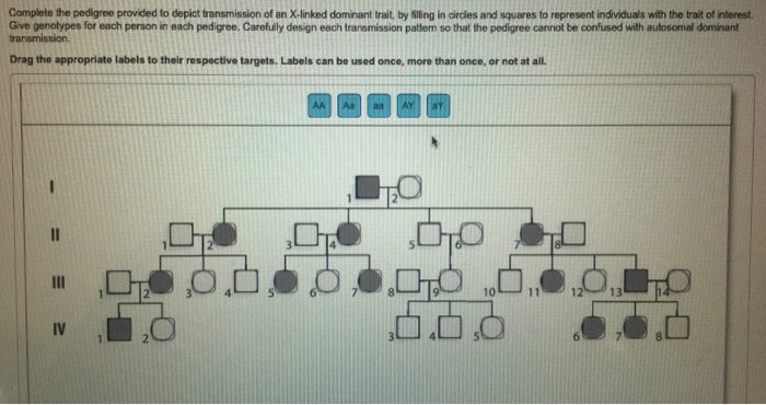 Solved Complete the pedigree provided to depict transmission | Chegg.com