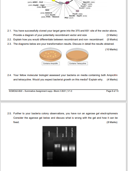 Solved Question 1 - Bioinformatics 20 Marks Study the | Chegg.com
