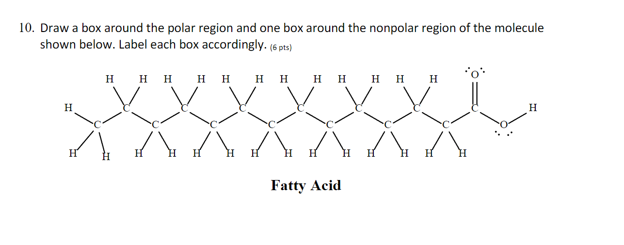 Solved 10. ﻿Draw a box around the polar region and one box | Chegg.com