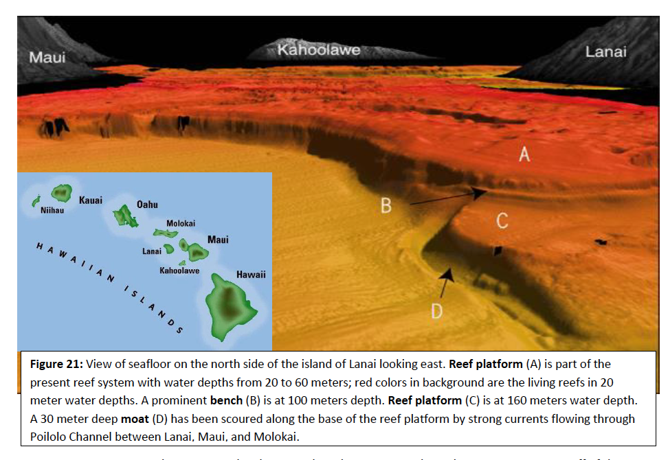 Solved For questions 3-5, use Figure 21. 3. A reef platform | Chegg.com