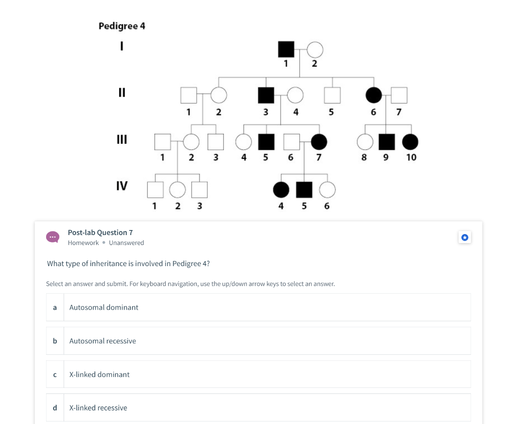 Solved Pedigree 3 I СТО 1 2 II O 어 1 2 3 4 5 6 7 8 III 1 2 3 | Chegg.com