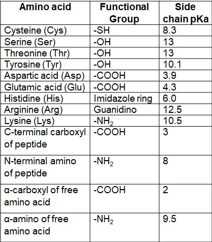 Solved Calculate the net charge for the following peptide, | Chegg.com