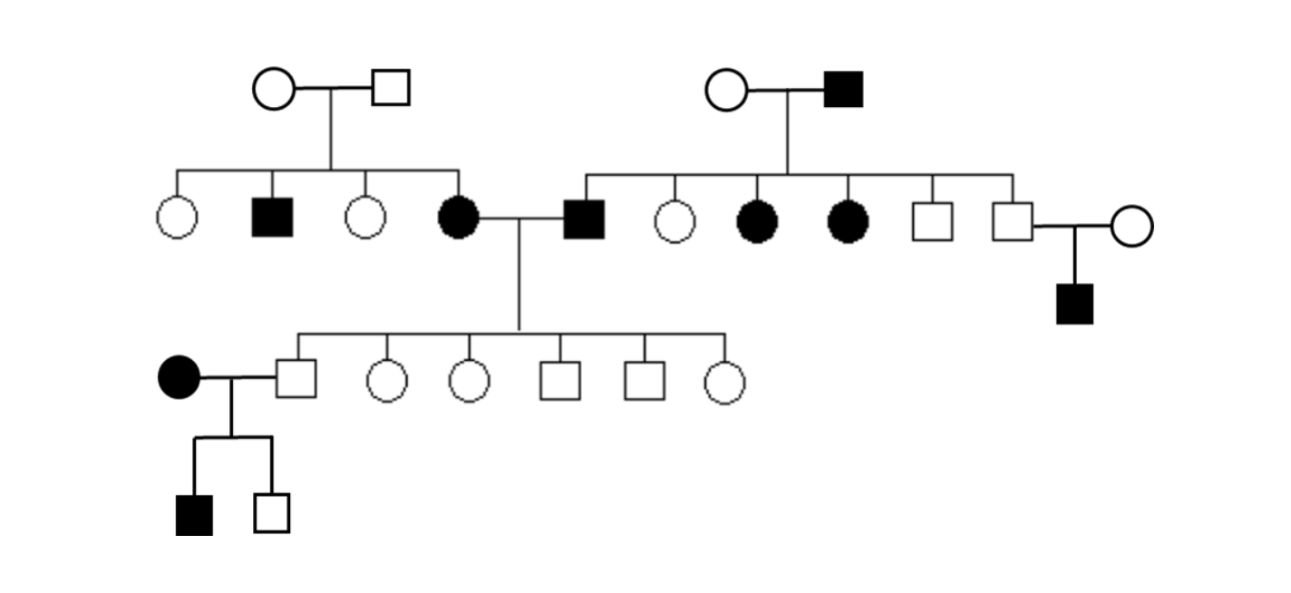 Solved Based on the inheritance pattern in the | Chegg.com