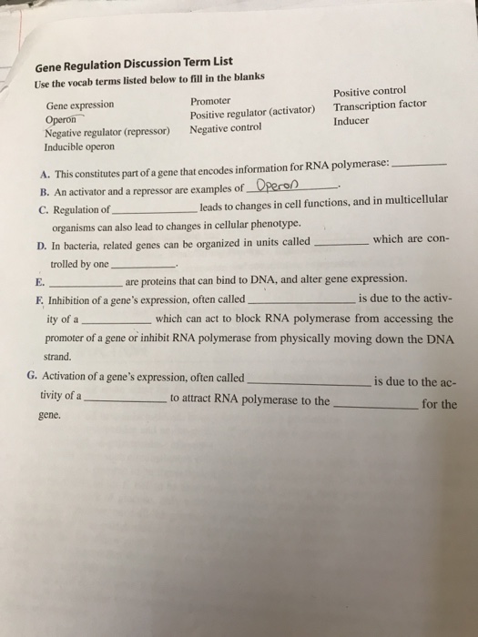 Solved Gene Regulation Discussion Term List Use the vocab