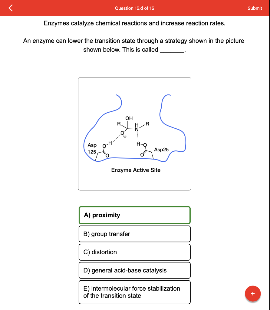Solved Enzymes catalyze chemical reactions and increase