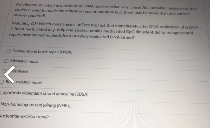 Solved For this set of matching questions on DNA repair | Chegg.com