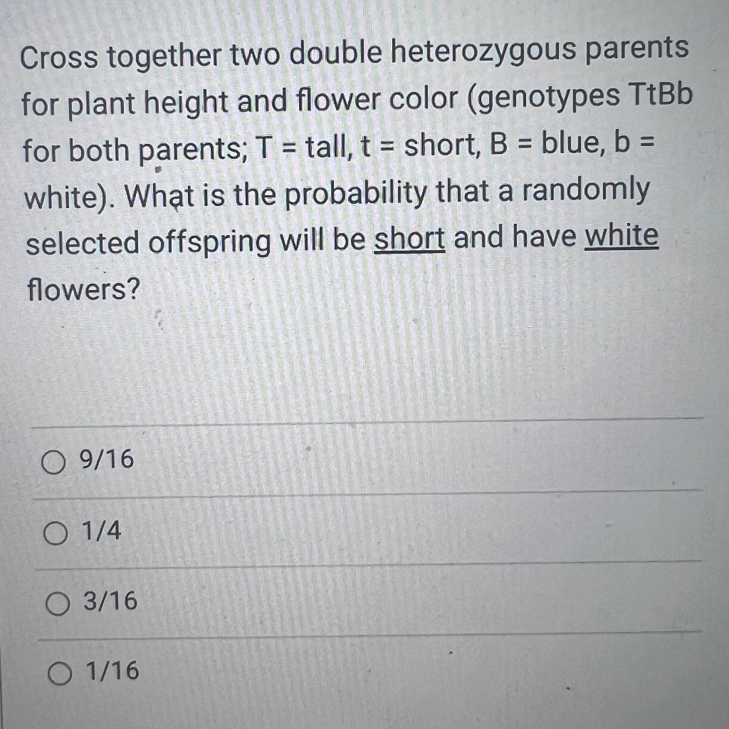 Cross together two double heterozygous parents for plant height and flower color (genotypes \( \mathrm{TtBb} \) for both pare