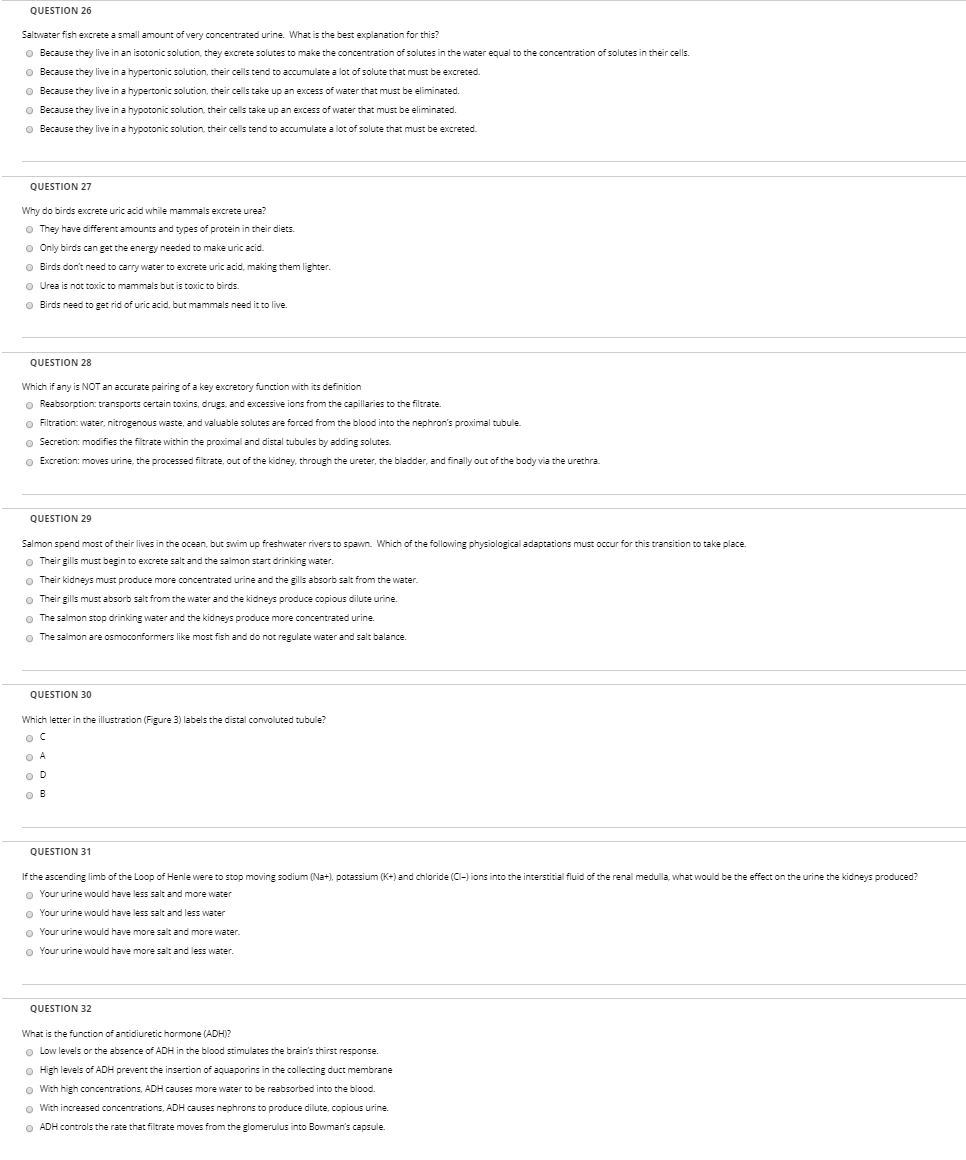 solved-question-26-saltwater-fish-excrete-a-small-amount-of-chegg