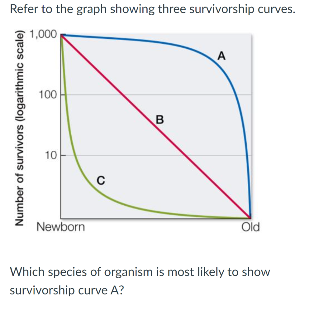 Solved Refer to the graph showing three survivorship curves. | Chegg.com