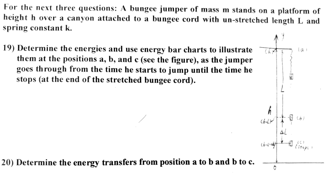 Solved For the next three questions A bungee jumper of mass