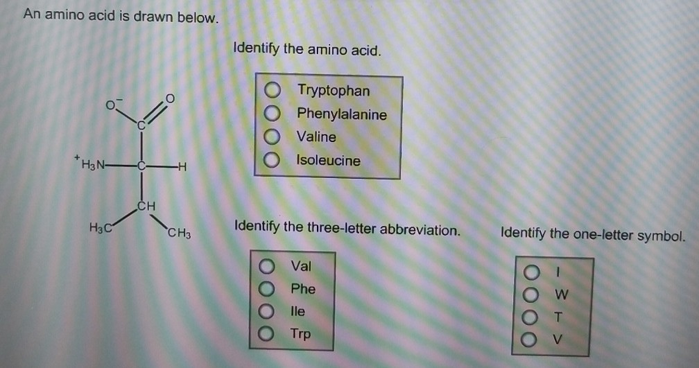 Solved An amino acid is drawn below. Identify the amino | Chegg.com
