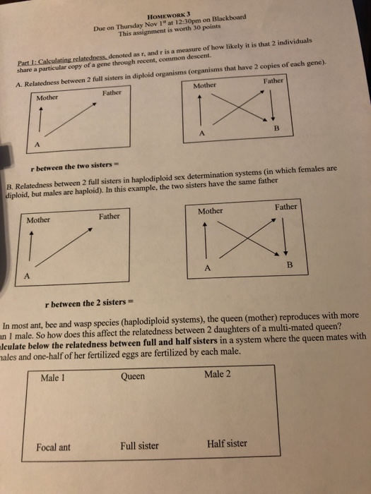 HOMEWORK 3 Due on Thursday Nov 1 at 12:30pm on | Chegg.com