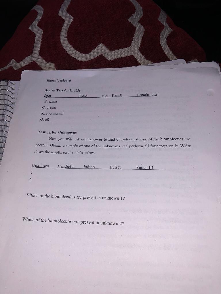 Biomoleculess Testing For Biomolecules Lab Report