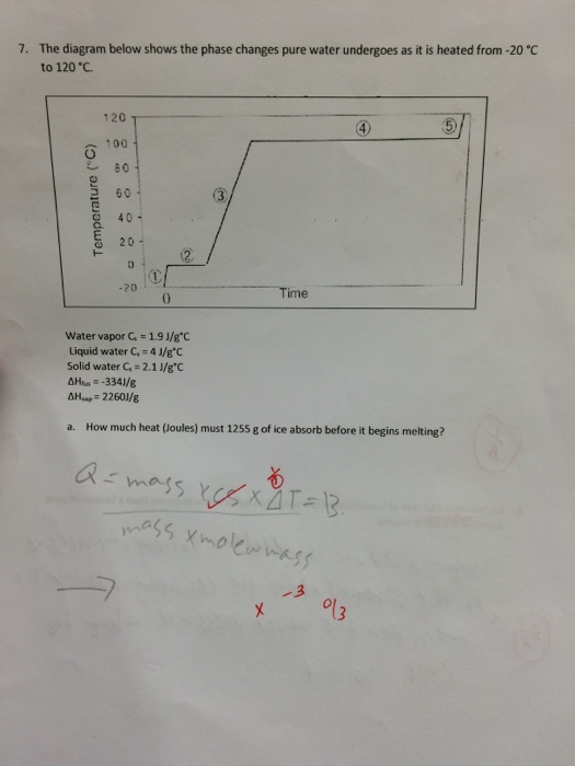 Solved The diagram below shows the phase changes pure water | Chegg.com