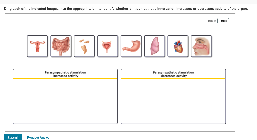 Solved Part A Drag each image into the appropriate bin to | Chegg.com