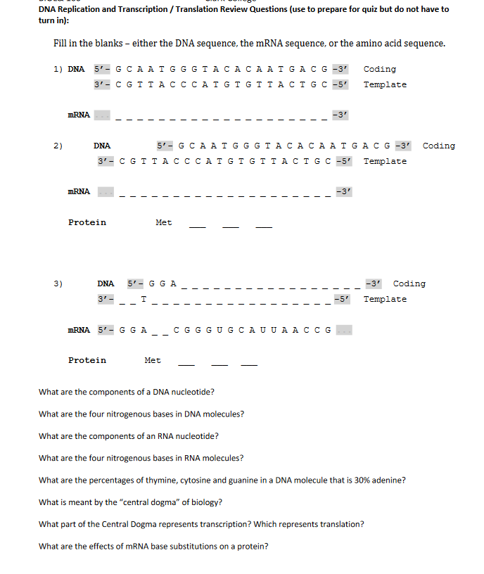 solved-part-2-protein-synthesis-transcription-and-chegg