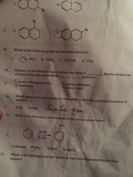 Solved Which of the following groups are ortho/para | Chegg.com