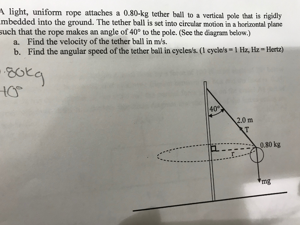 Solved light, uniform rope attaches a 0.80kg tether ball to