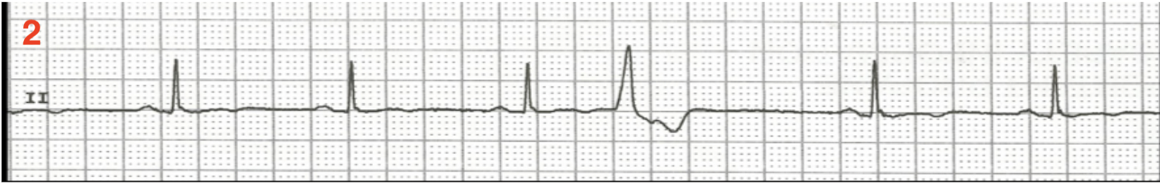 Solved Determine what is abnormal about the following | Chegg.com